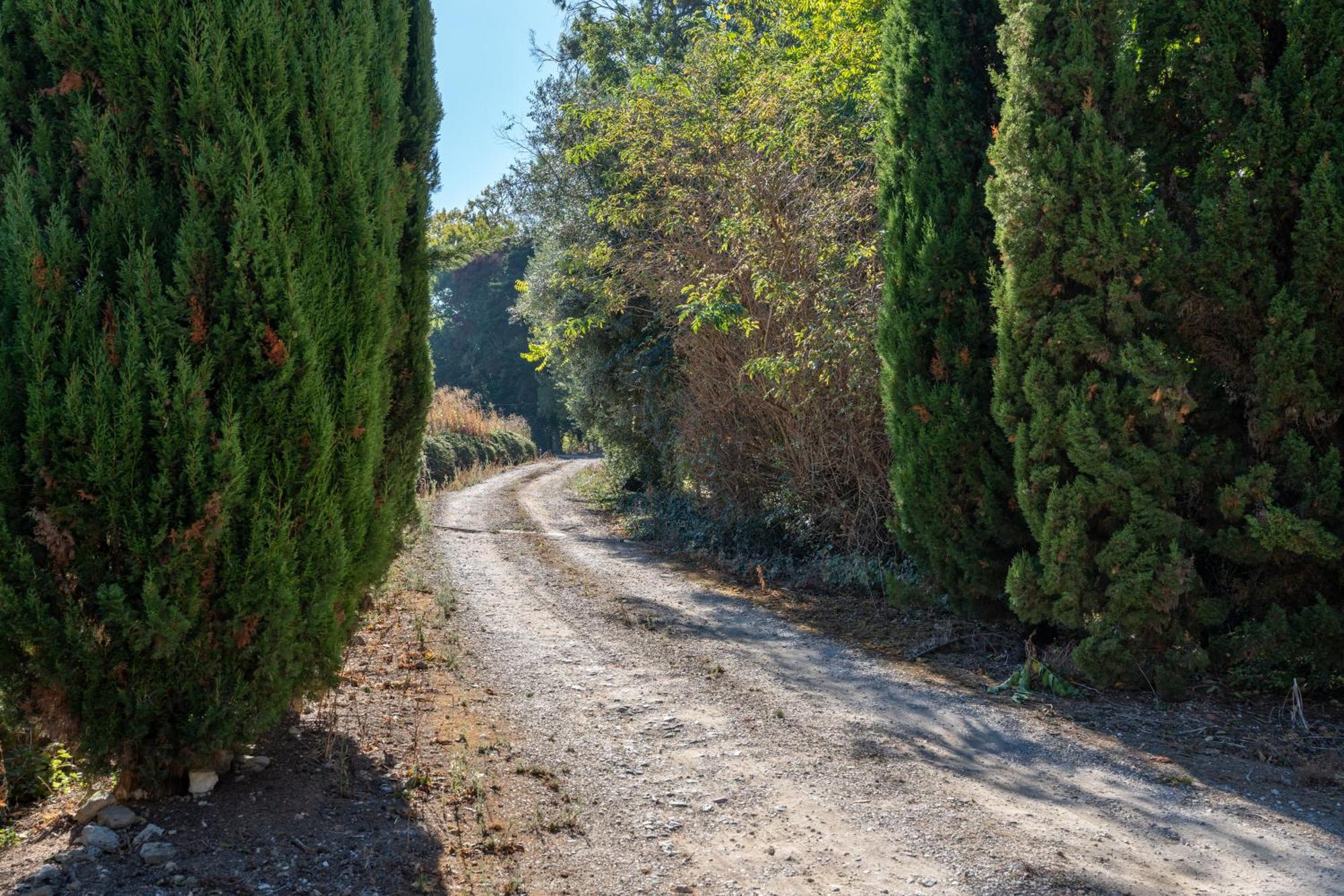 Cazal D'Oliveira Villa Granja  Kültér fotó